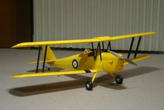 Tigermoth40E